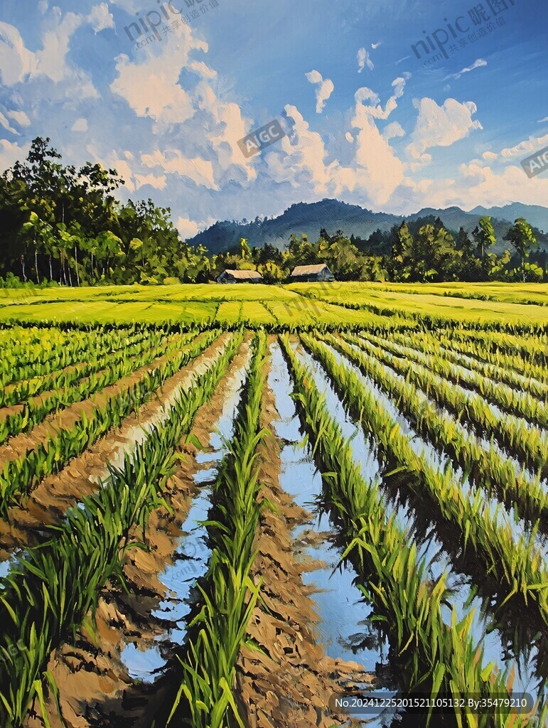 水稻種植田園風(fēng)光