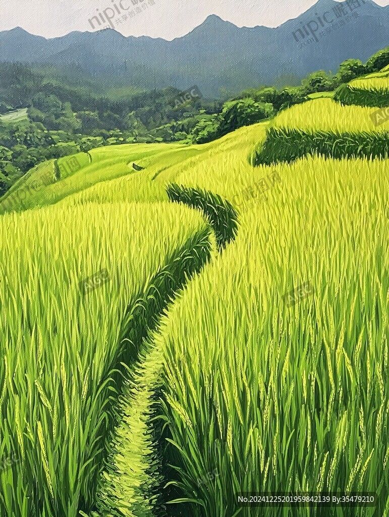 水稻山川