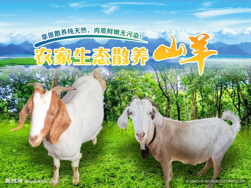 山羊