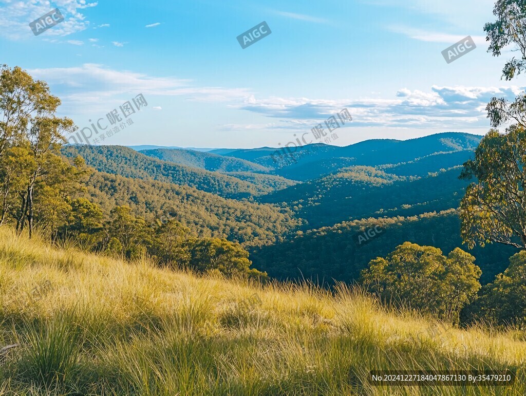 澳洲原野風景