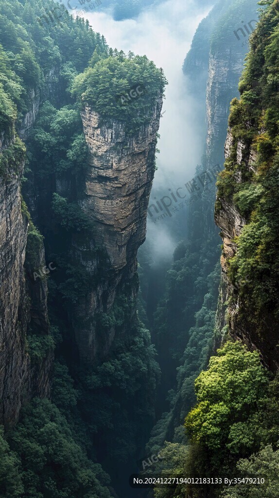 神堂灣迷霧