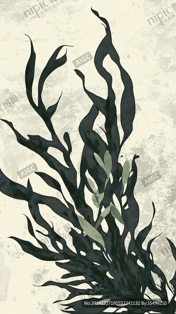 海藻插畫