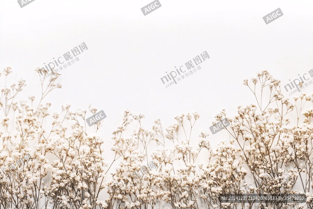 干花背景墻