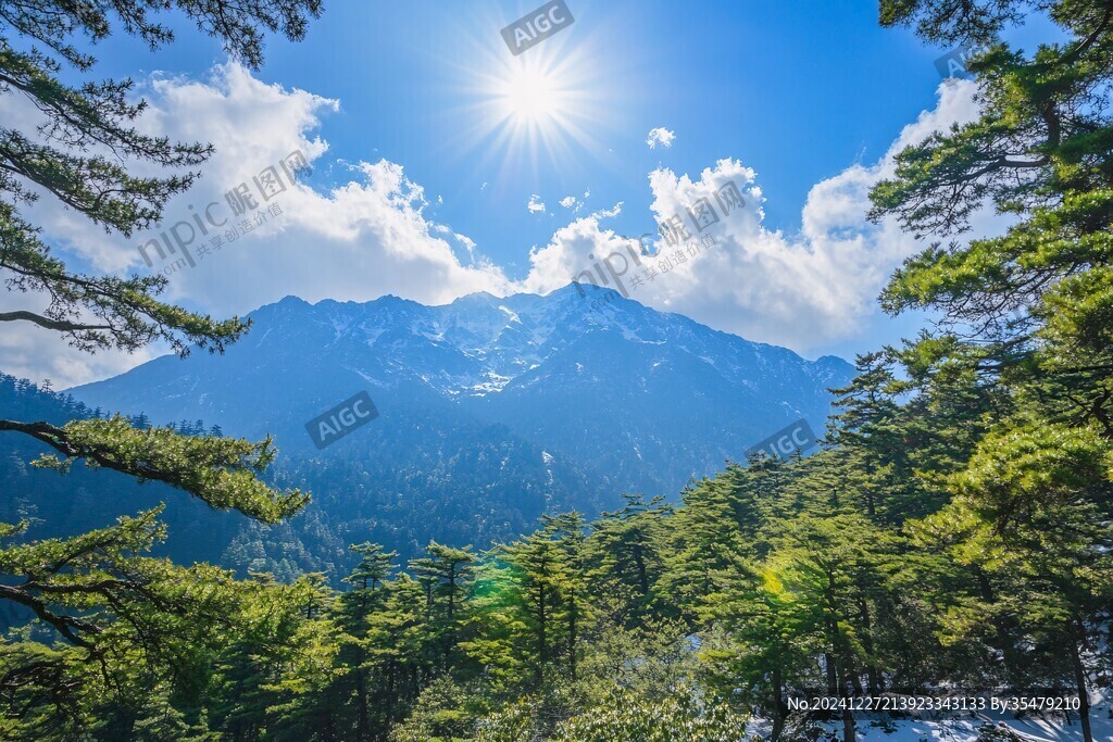 陽光下的秦嶺