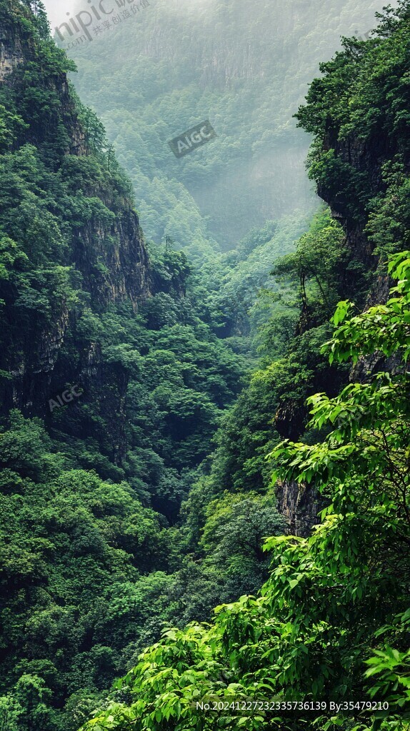 神農(nóng)谷風(fēng)光