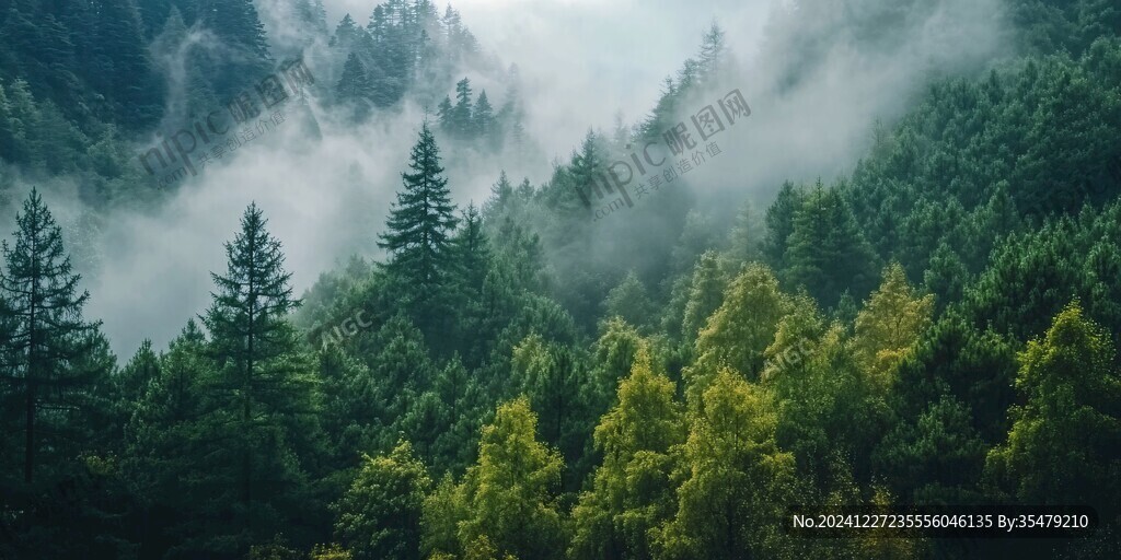 森林云霧山嵐