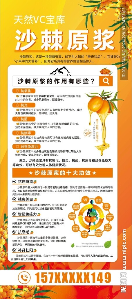 沙棘