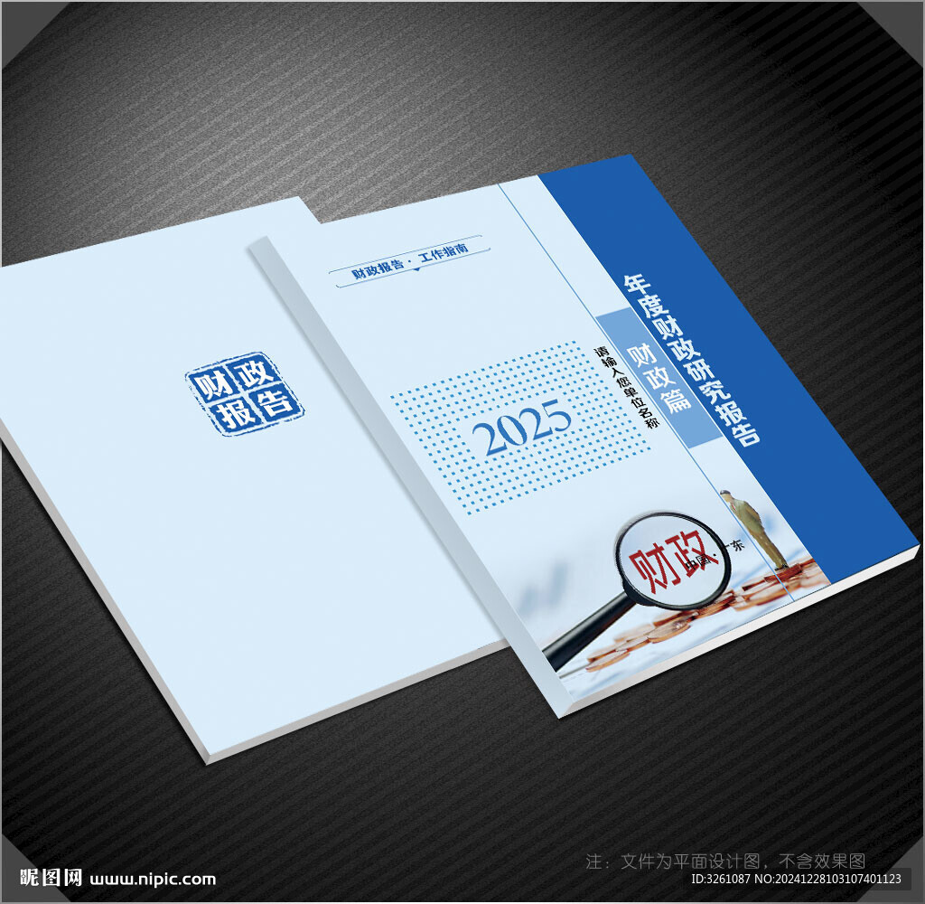 財(cái)政報(bào)告封面