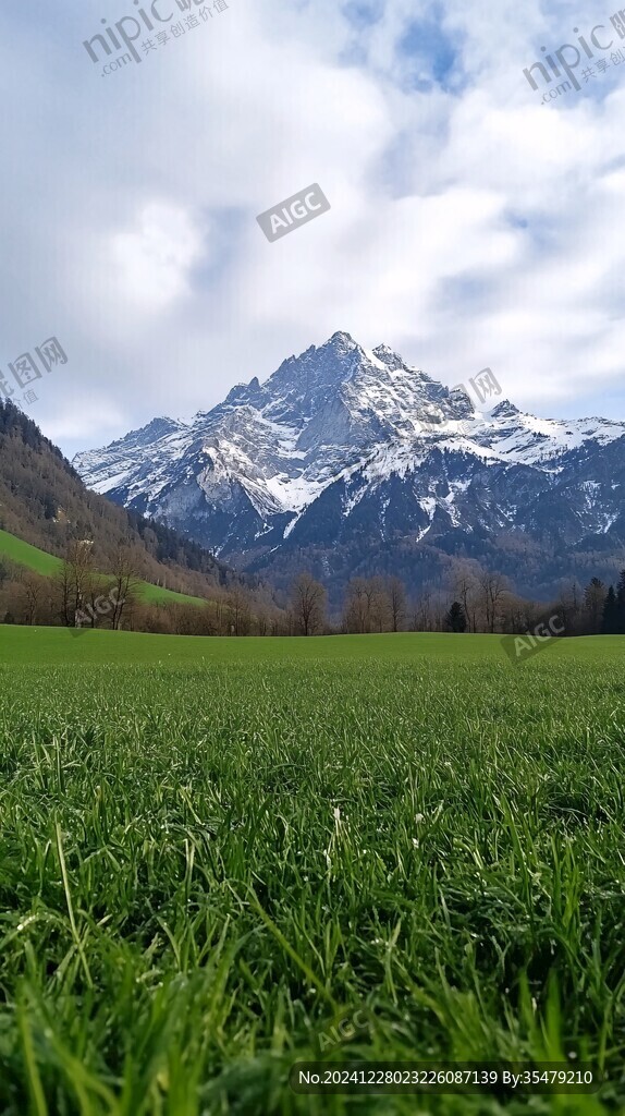 瑞士雪山草地