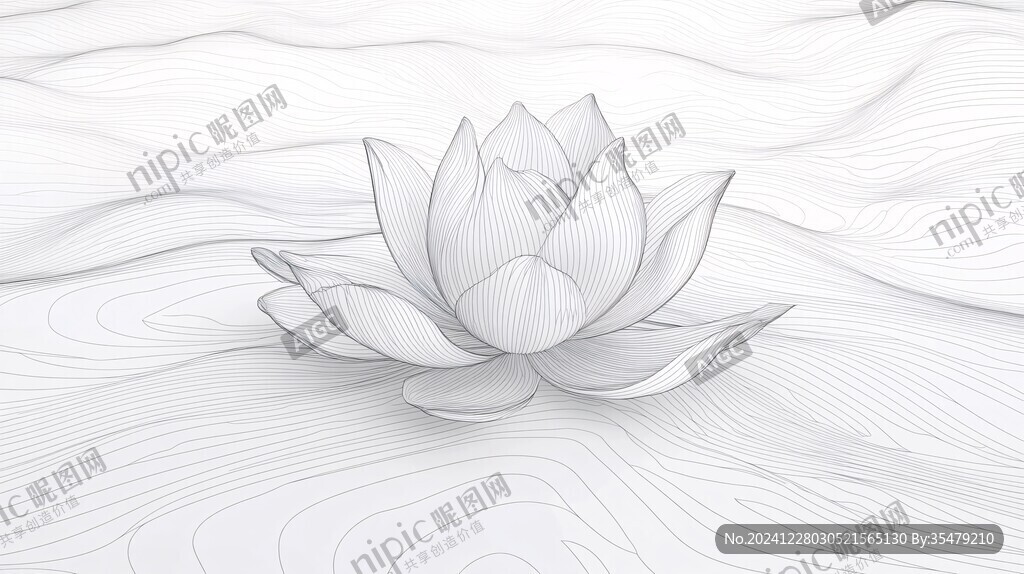 蓮花白插畫(huà)