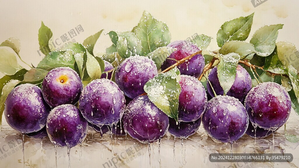 蜂糖李寫實插畫