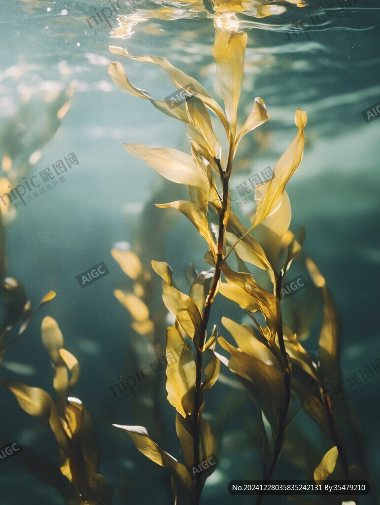 唯美大海彩色水草