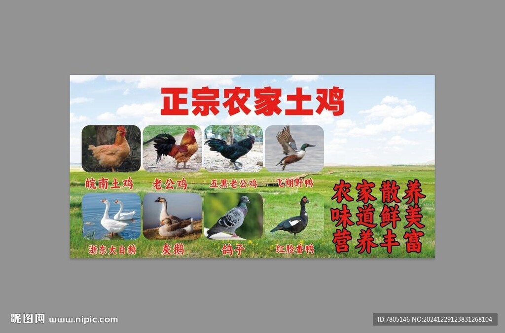 正宗農家養殖土雞