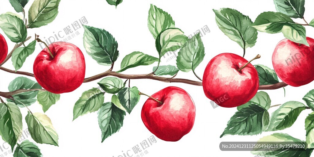 紅蘋果插畫