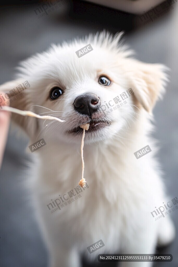 饞嘴小狗