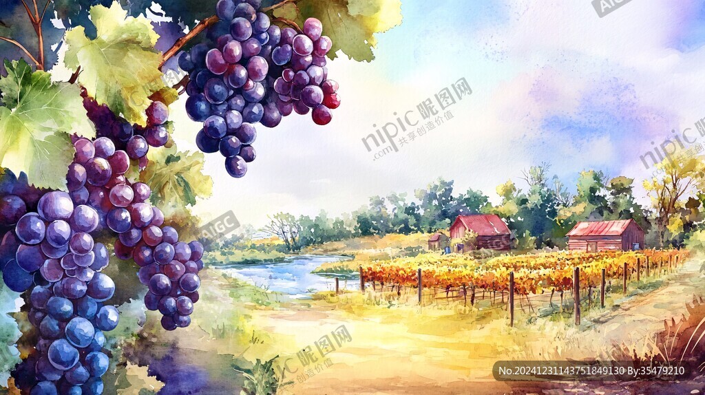 葡萄景色插畫