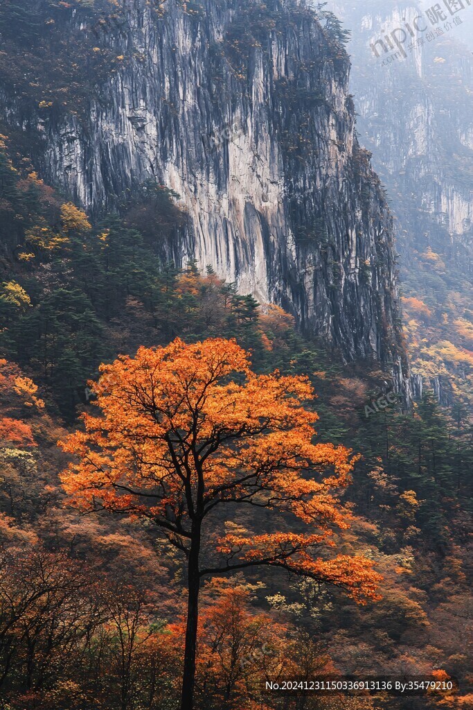 神女峰景區秋天
