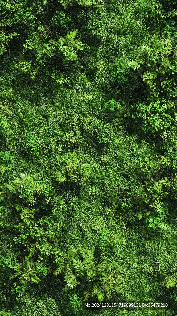 綠色植物平鋪背景