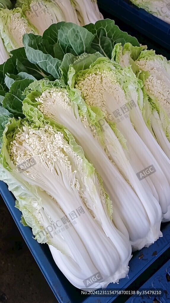 菜市場大白菜菜顆