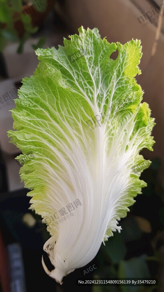 白菜擺件