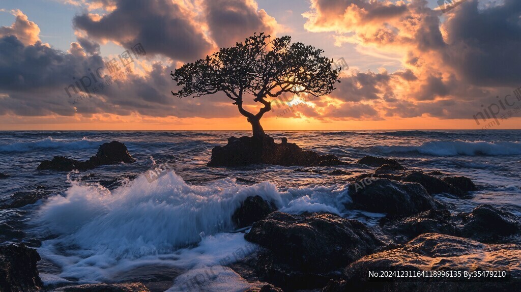 海邊的大樹