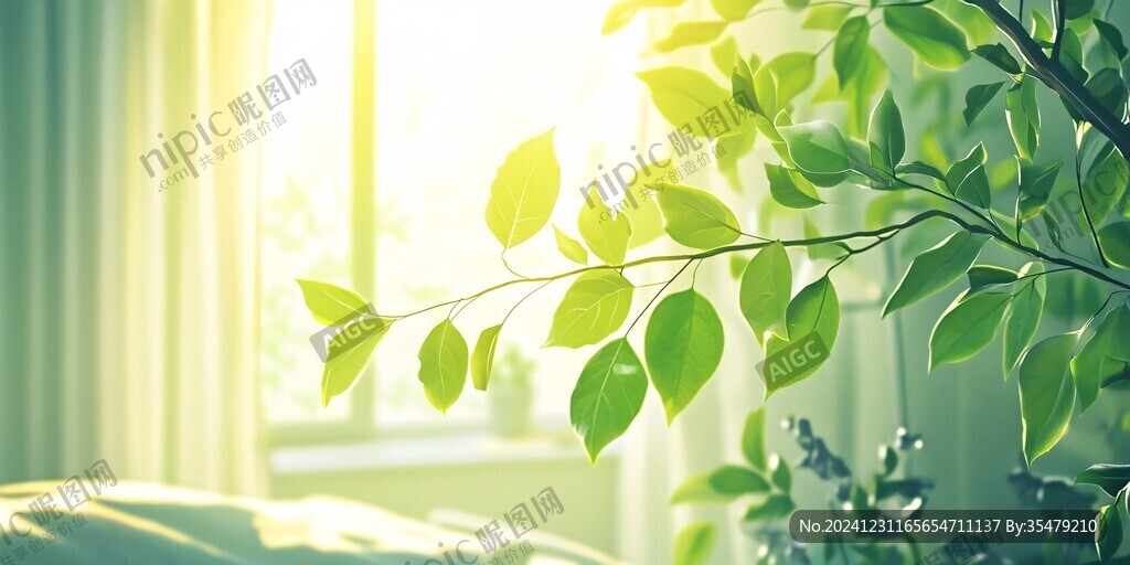 陽光植物窗臺(tái)小綠植