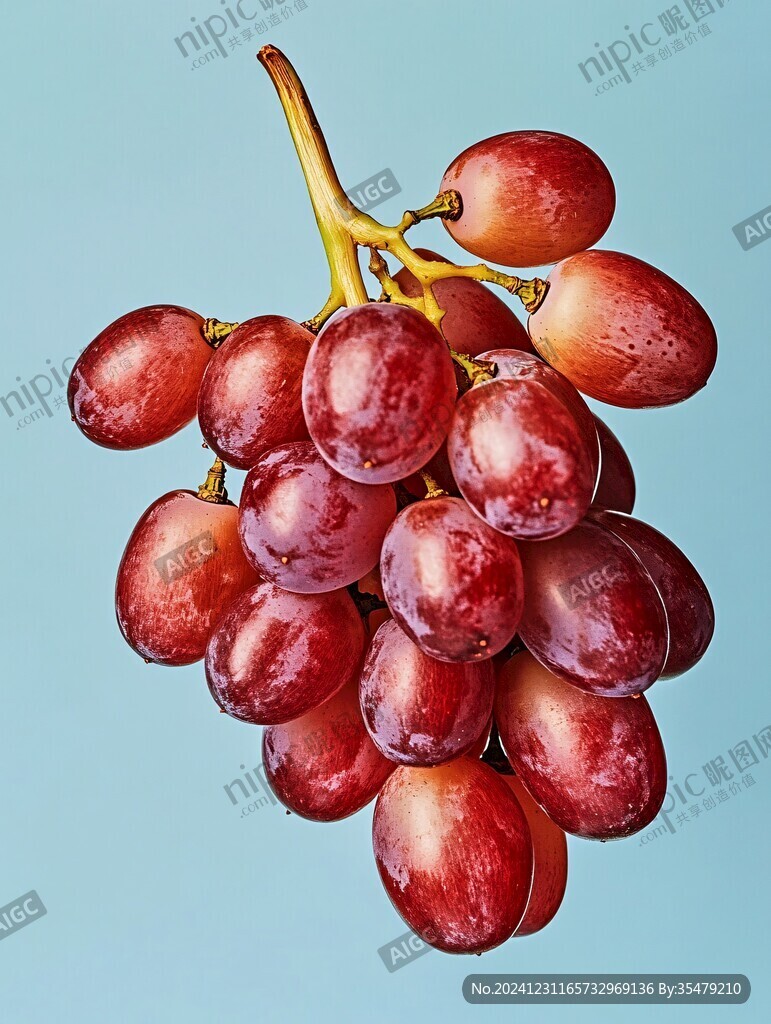 紅提棚拍