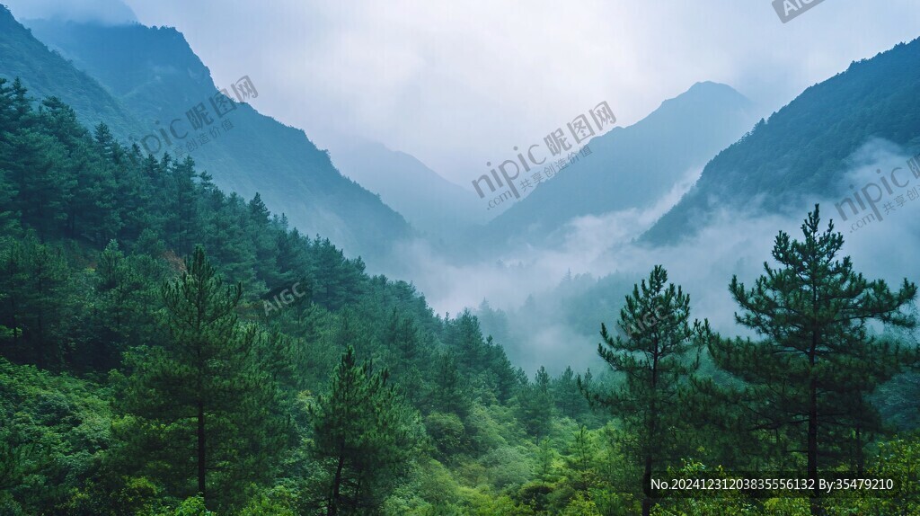 鄂坪云霧