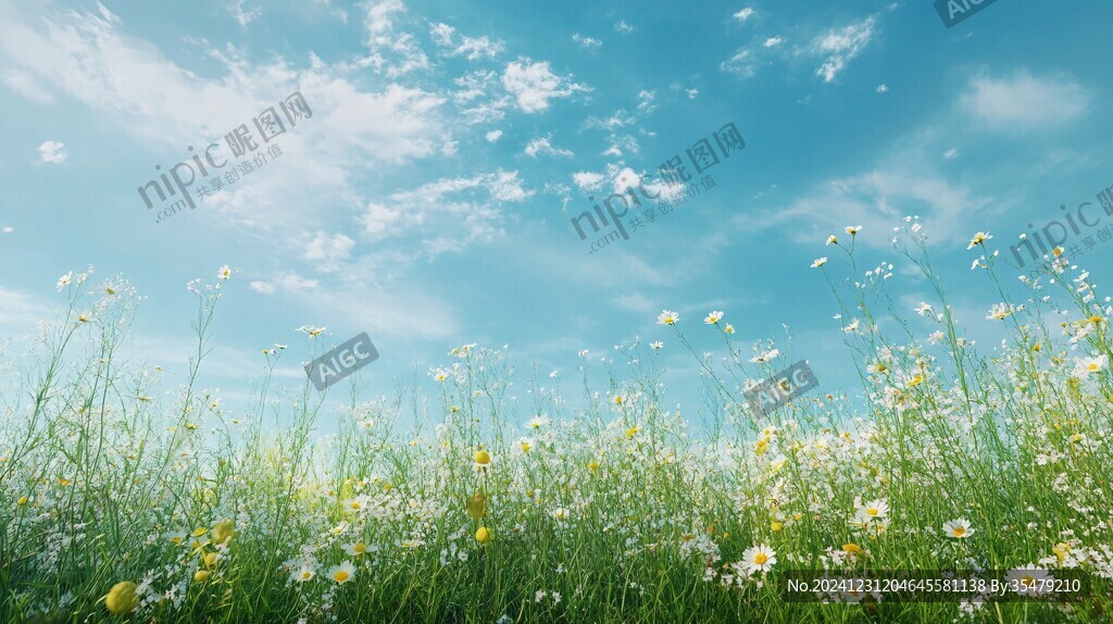 仰望藍天白云鮮花