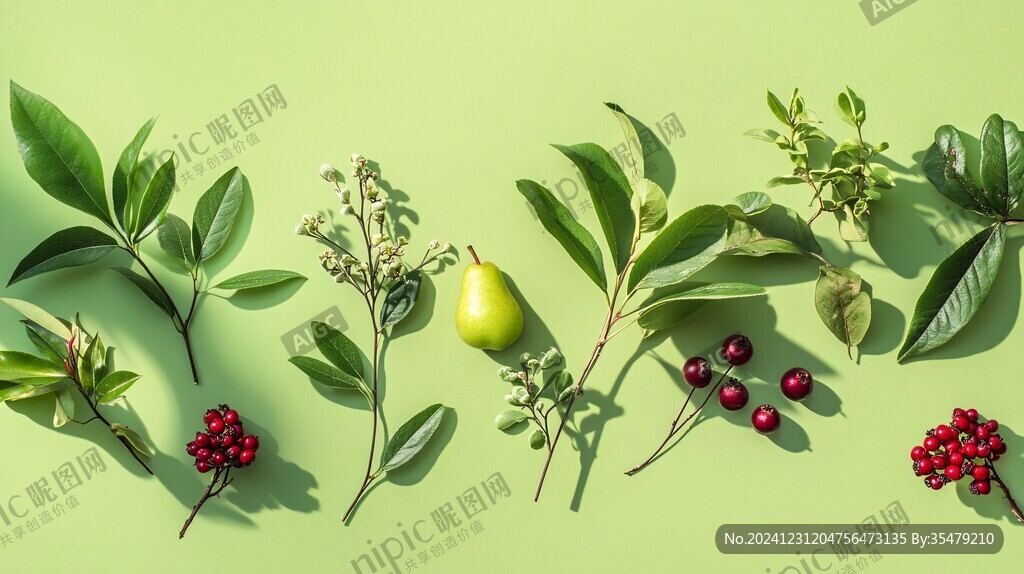 各種綠葉
