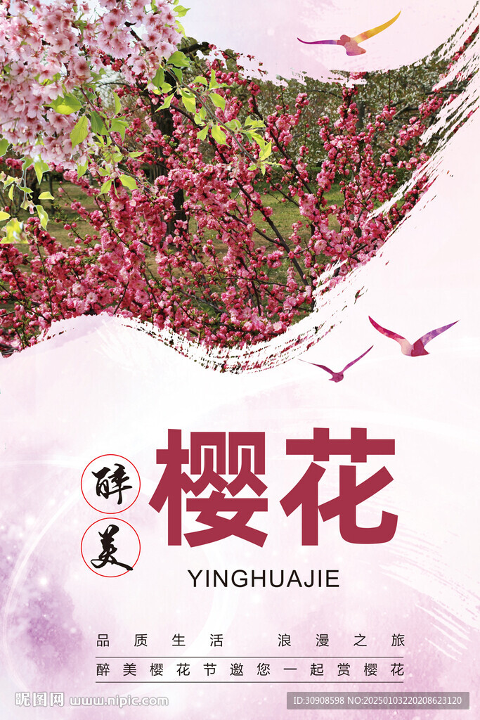 櫻花節(jié)