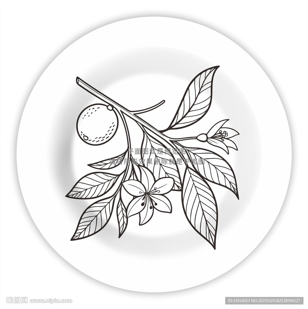 橙子陶瓷餐具插畫