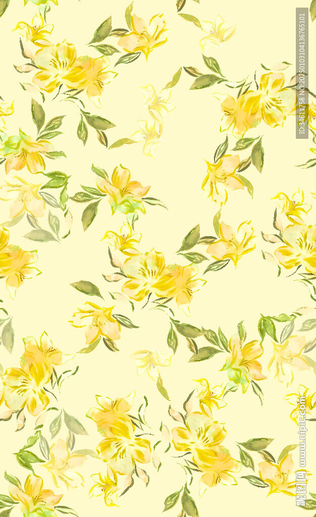 小黃花