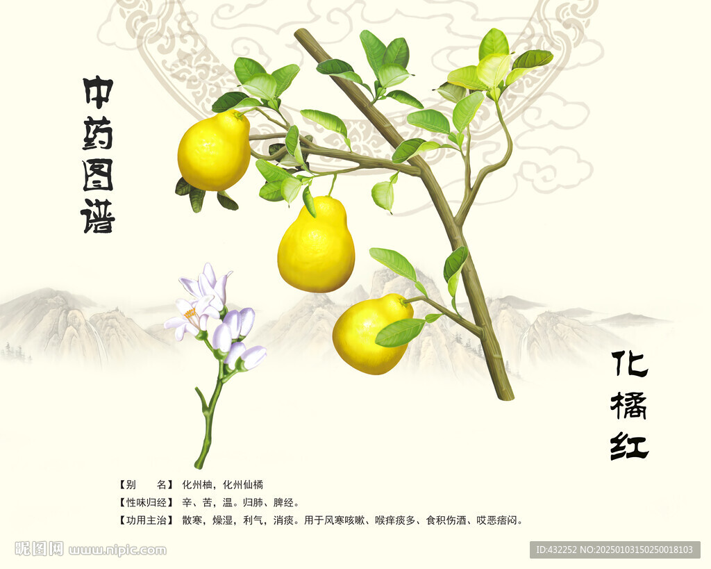 化州柚化橘紅