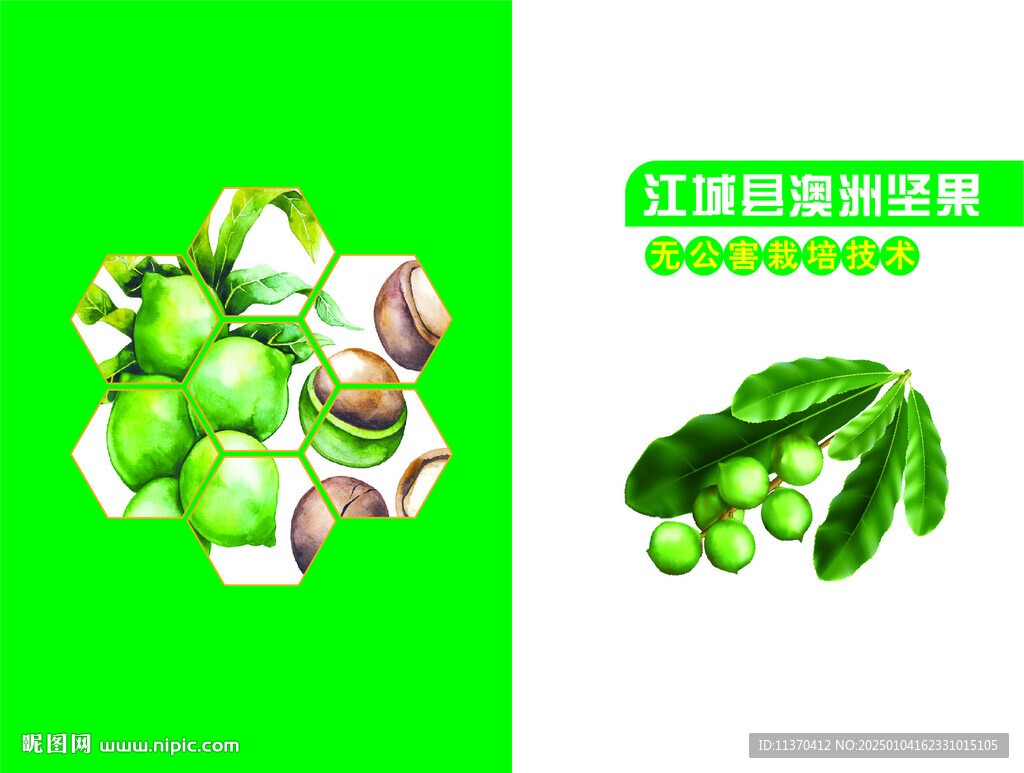 澳洲堅(jiān)果種植技術(shù)手冊(cè)