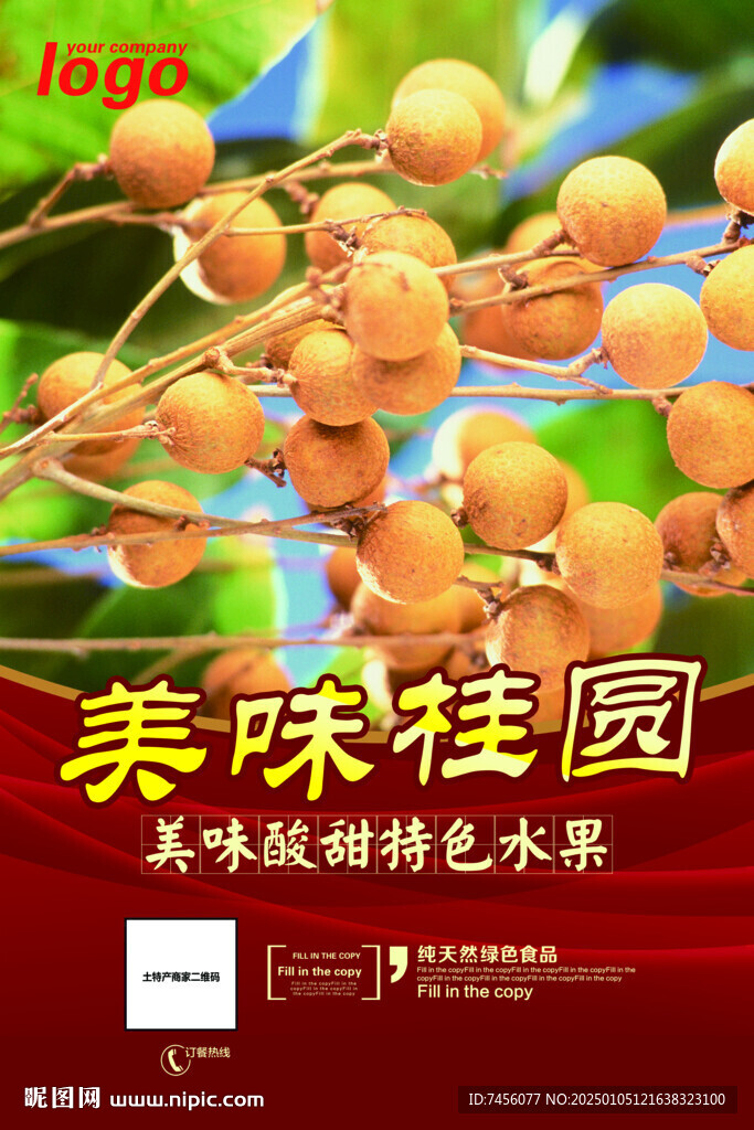 美味桂圓海報(bào)設(shè)計(jì)模板