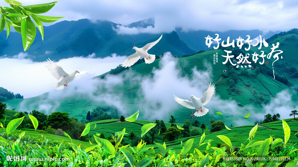 茶山