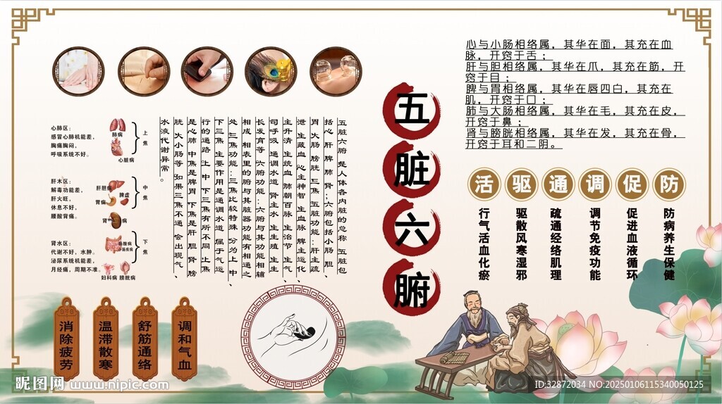 五臟六腑背景墻