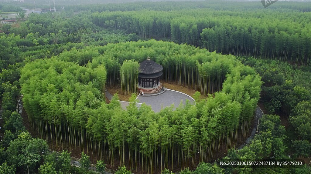 翠竹林全景大圖