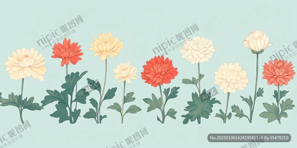 金盞花插畫