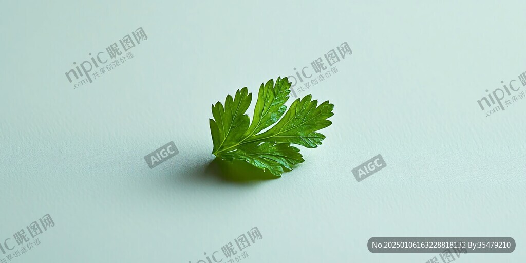 一根香菜葉