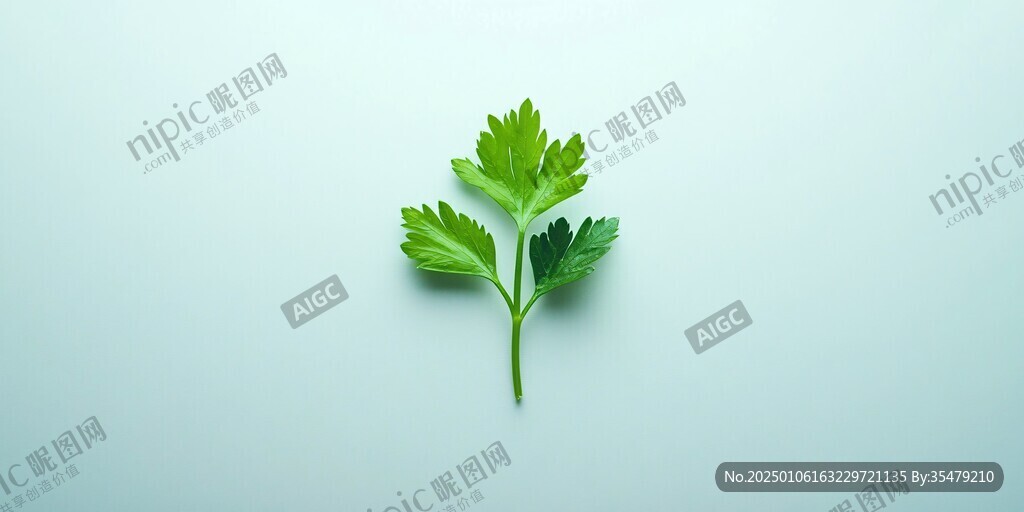 創(chuàng)意艾蒿