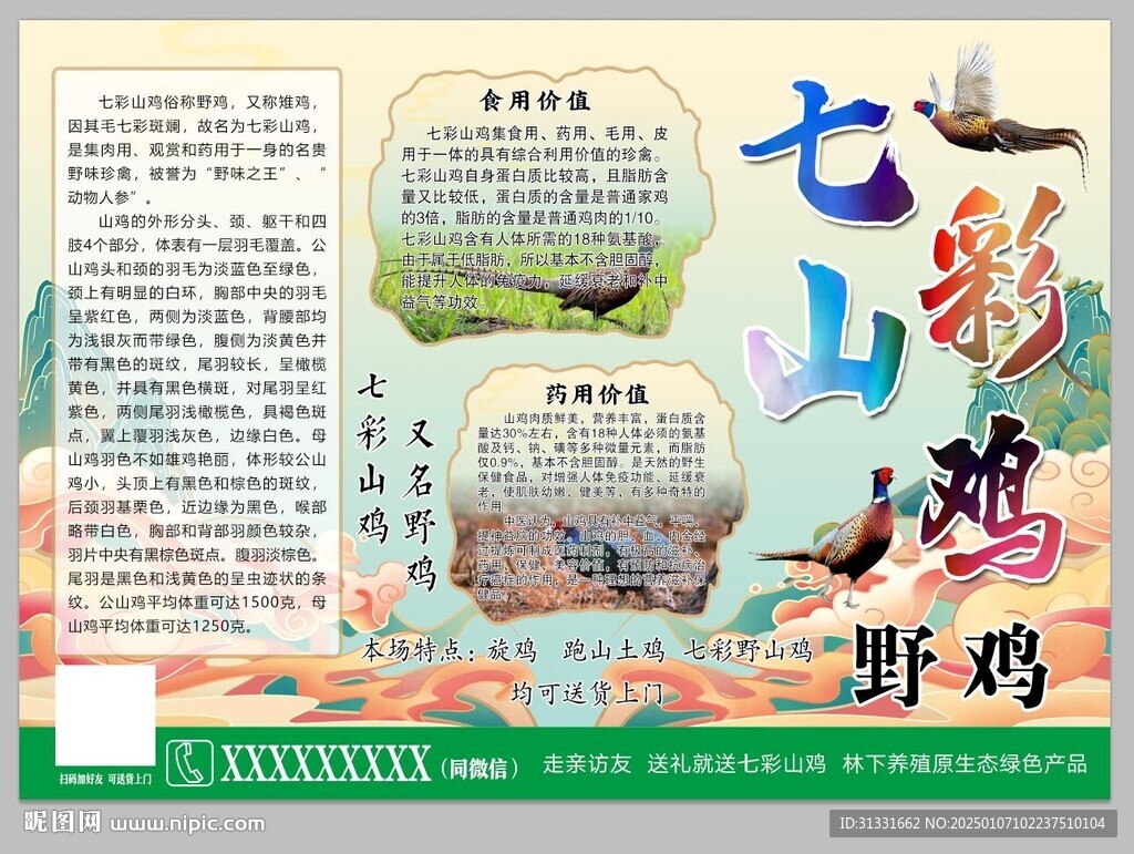 七彩山雞