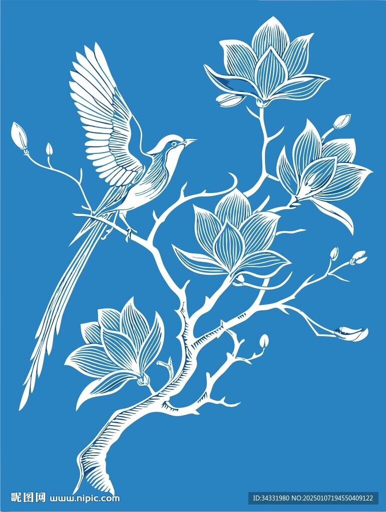 花鳥插畫