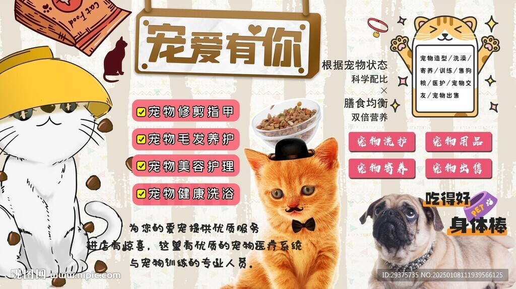 寵物背景墻