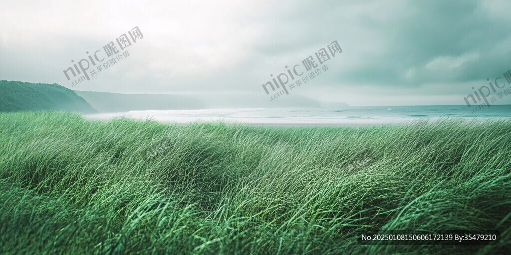 草地海景海浪海水海邊