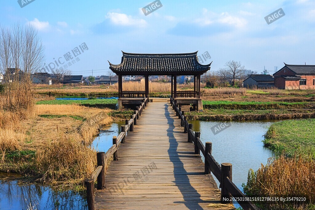 濕地小橋