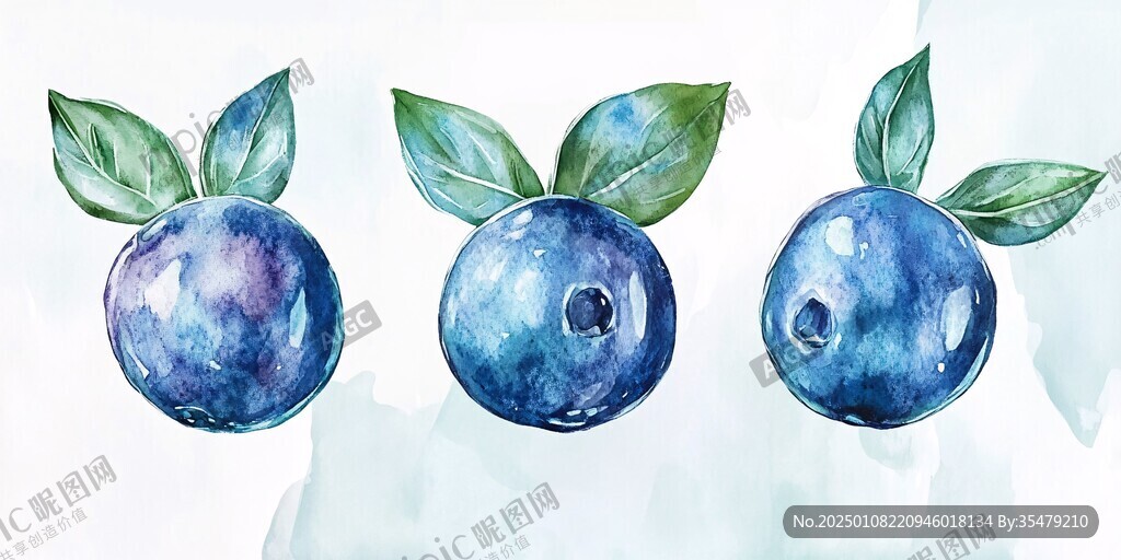 原創藍莓插畫