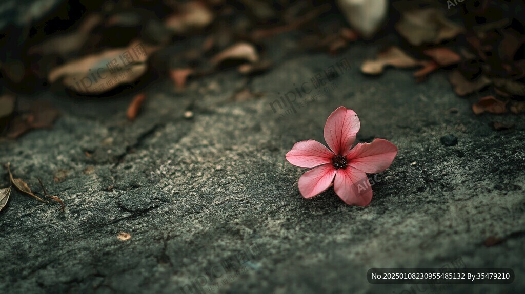 落花意境圖