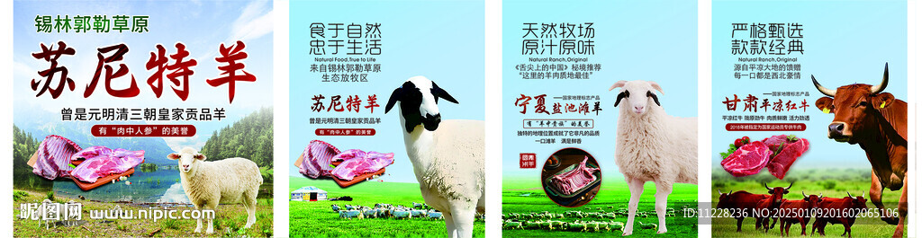 蘇尼特羊